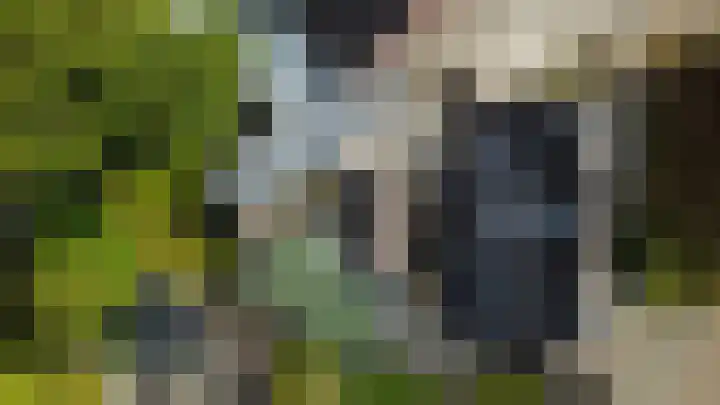 Tulpenstraat 2 Assen thumbnail 33