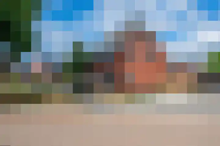 Tulpenstraat 2 Assen thumbnail 5