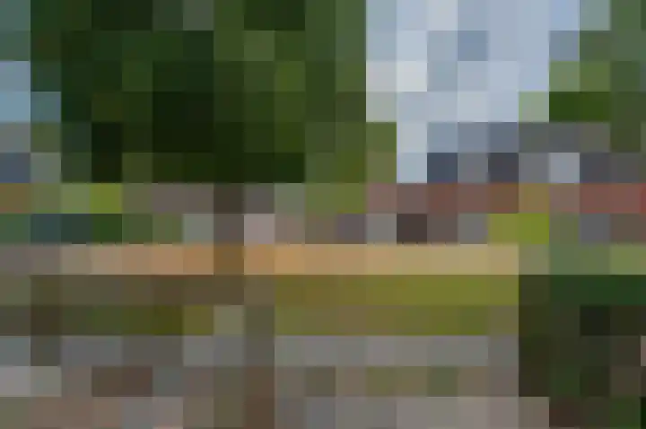 Tulpenstraat 2 Assen thumbnail 7