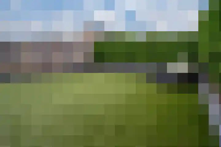 Tulpenstraat 2 Didam thumbnail 20