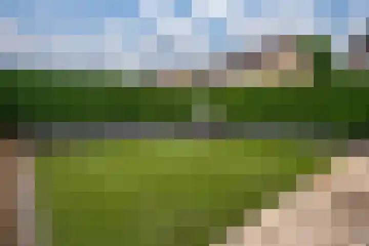Tulpenstraat 2 Didam thumbnail 21