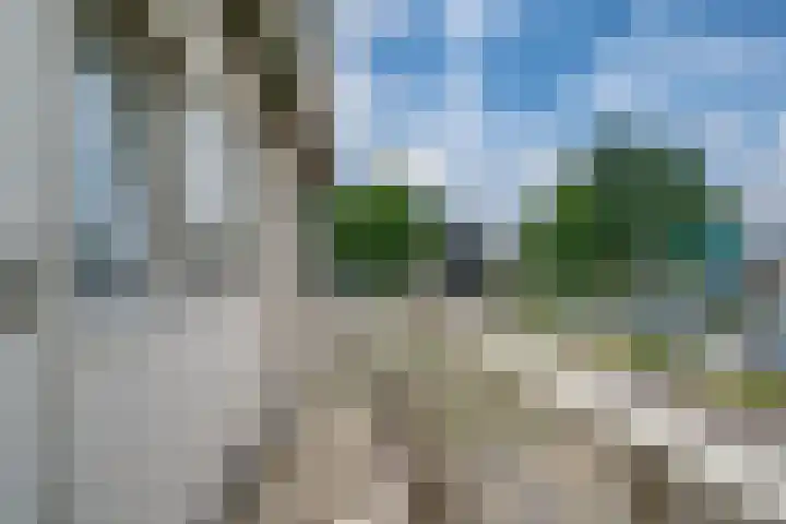 Tulpenstraat 2 Didam thumbnail 28