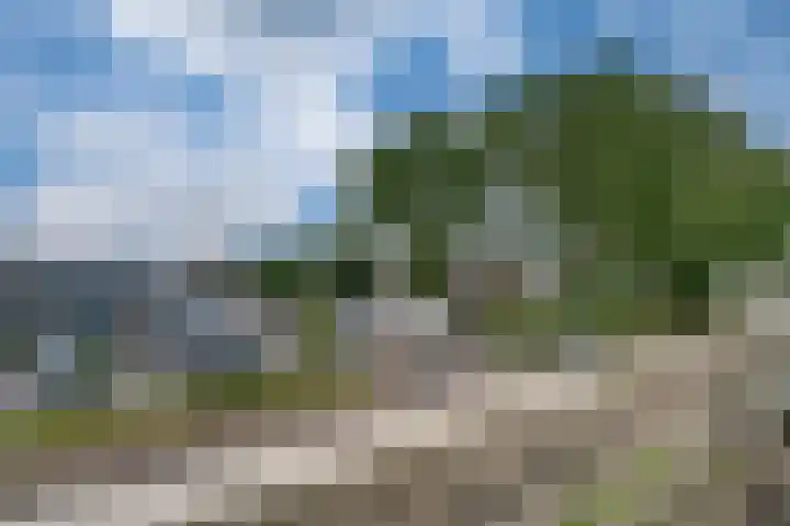 Tulpenstraat 2 Didam thumbnail 29
