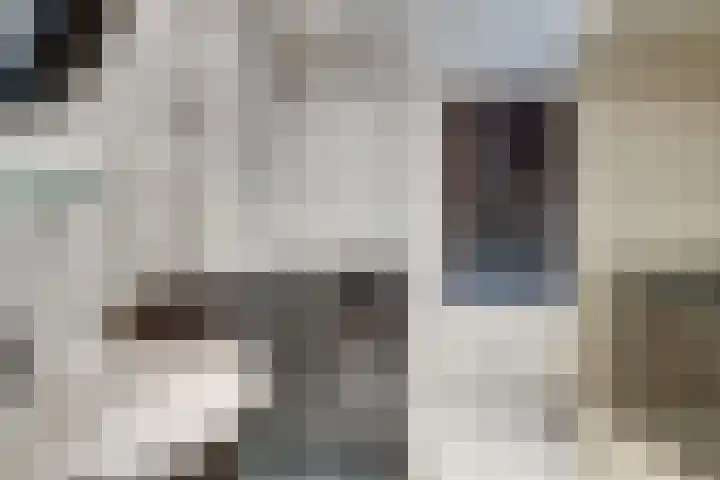 Tulpenstraat 2 Didam thumbnail 34