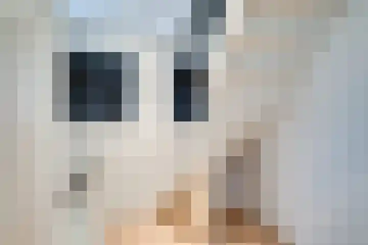 Tulpenstraat 2 Didam thumbnail 35