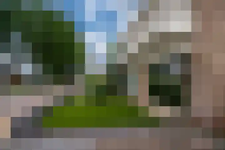 Tulpenstraat 2 Didam thumbnail 4
