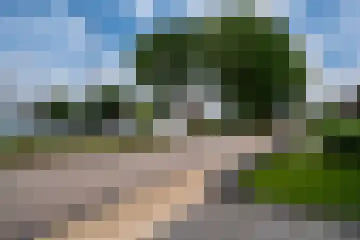 Tulpenstraat 2 Didam thumbnail 41