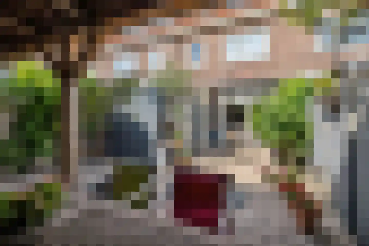 Tulpenstraat 22 Breda thumbnail 37