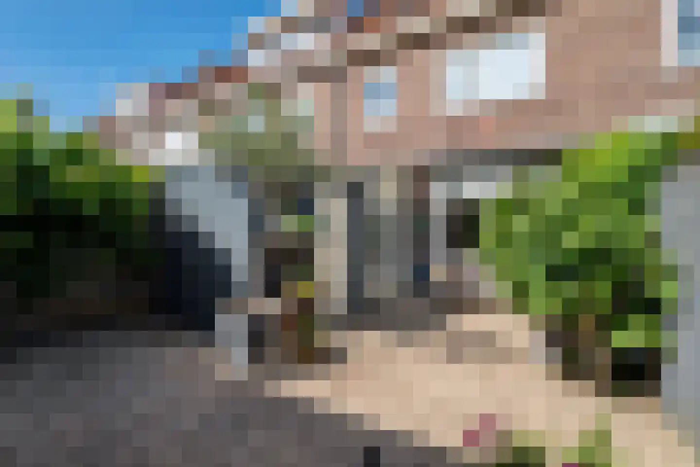 Tulpenstraat 22 Breda thumbnail 39