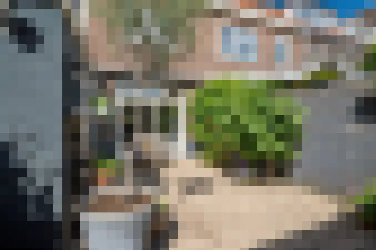 Tulpenstraat 22 Breda thumbnail 40