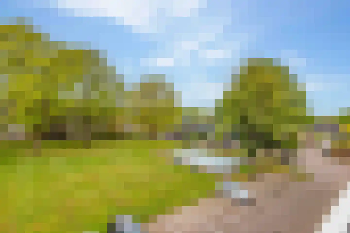 Tulpenstraat 23 Hoogeveen thumbnail 23
