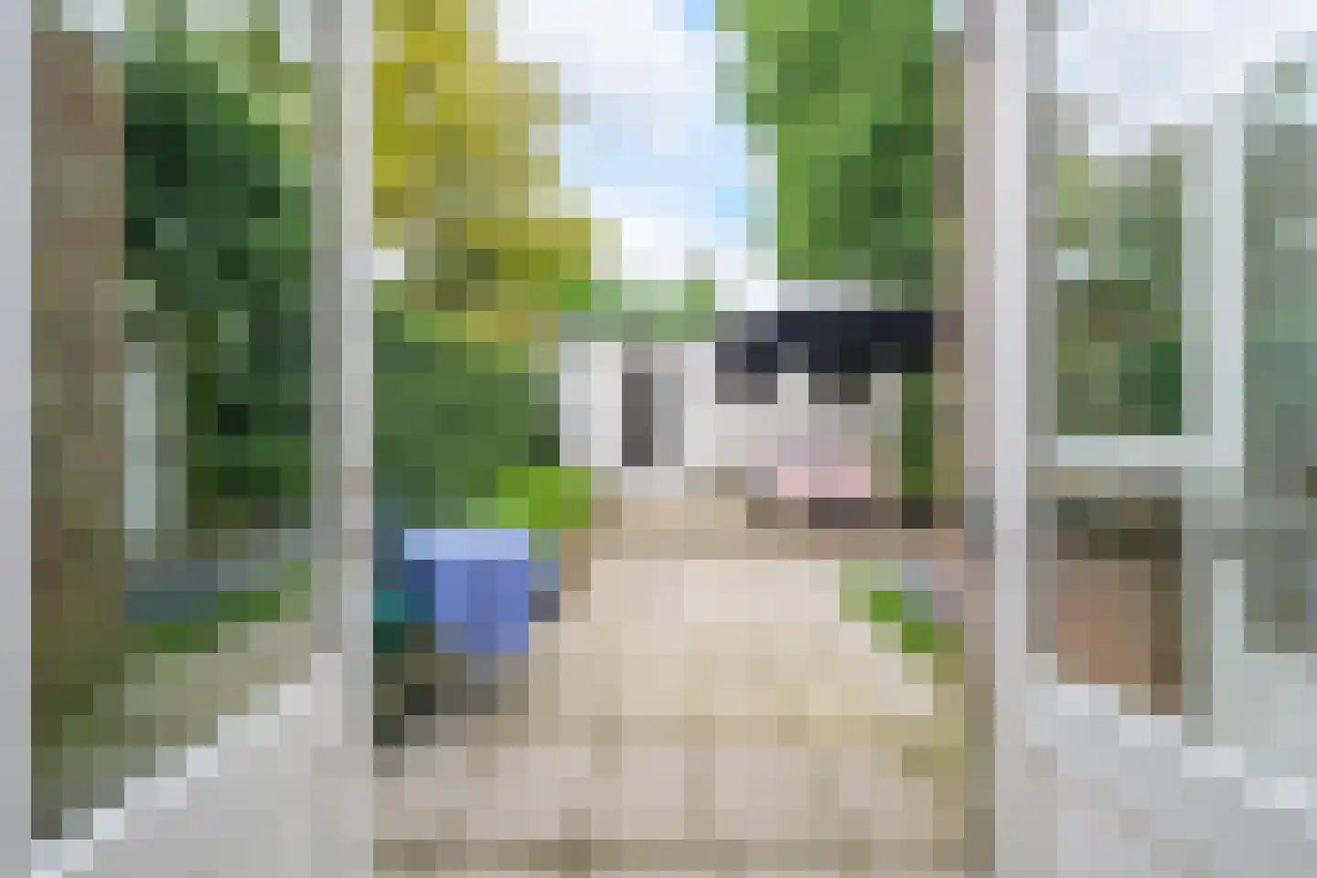 Tulpenstraat 25 Breda thumbnail 31