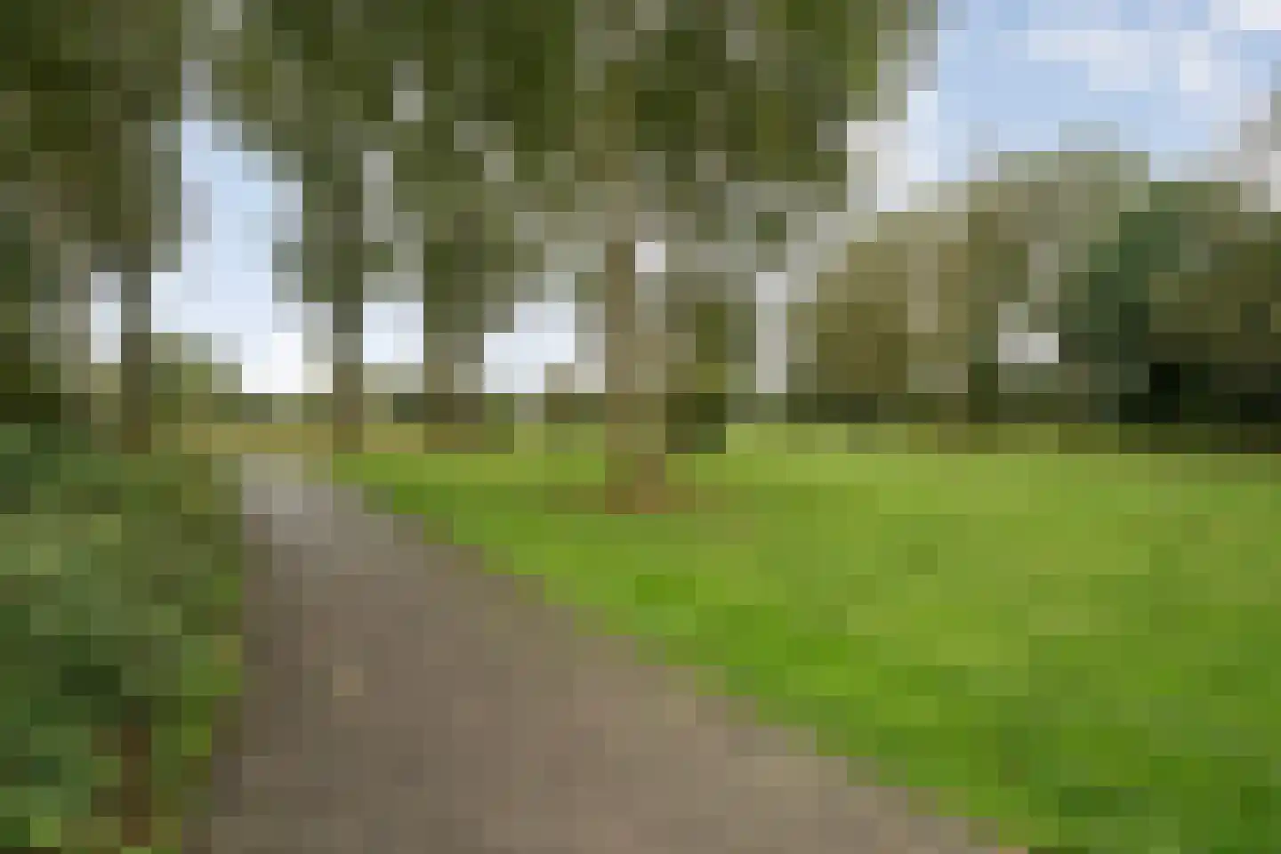 Tulpenstraat 27 Hoogeveen thumbnail 38