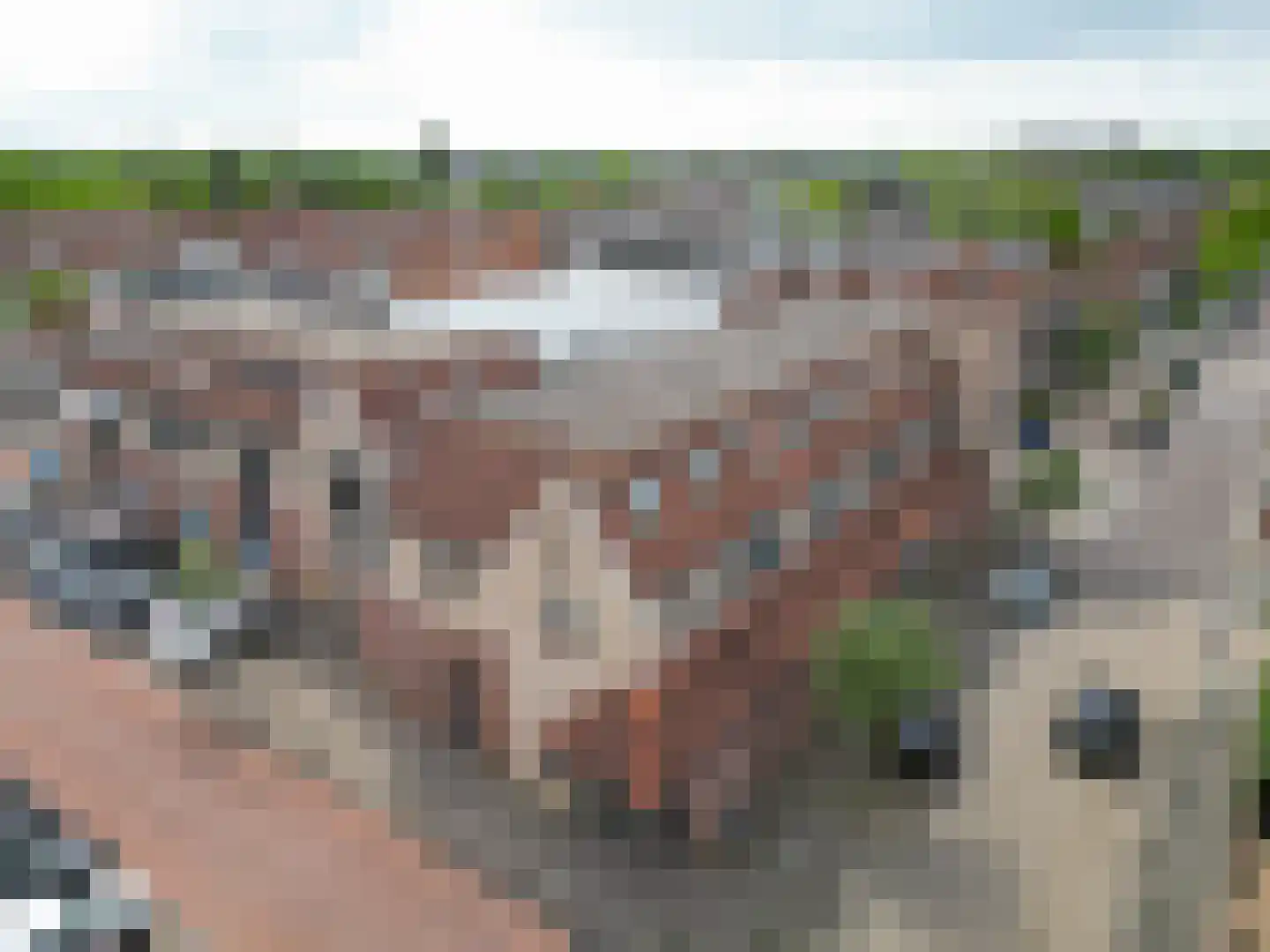 Tulpenstraat 3 A Rijnsburg thumbnail 24