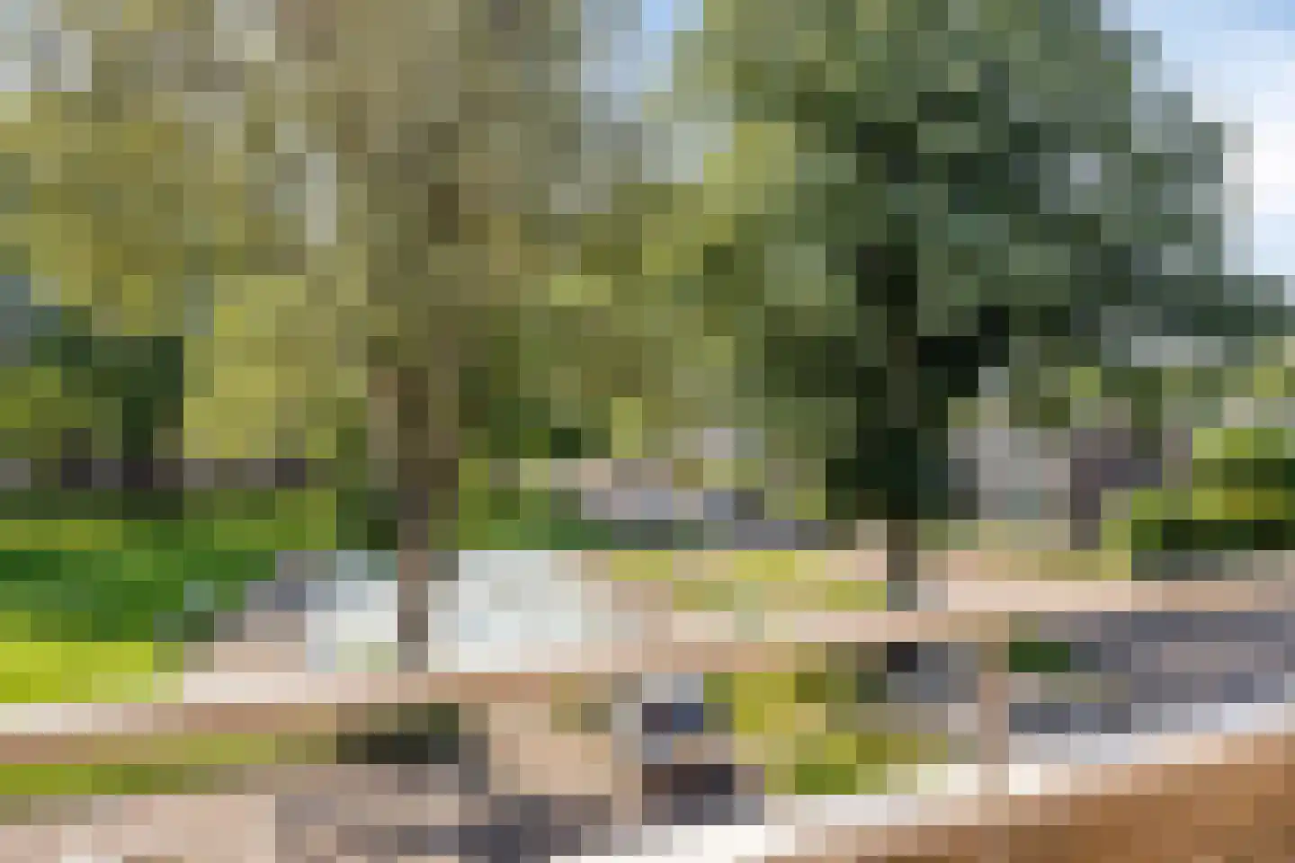 Tulpenstraat 3 Hoogeveen thumbnail 9