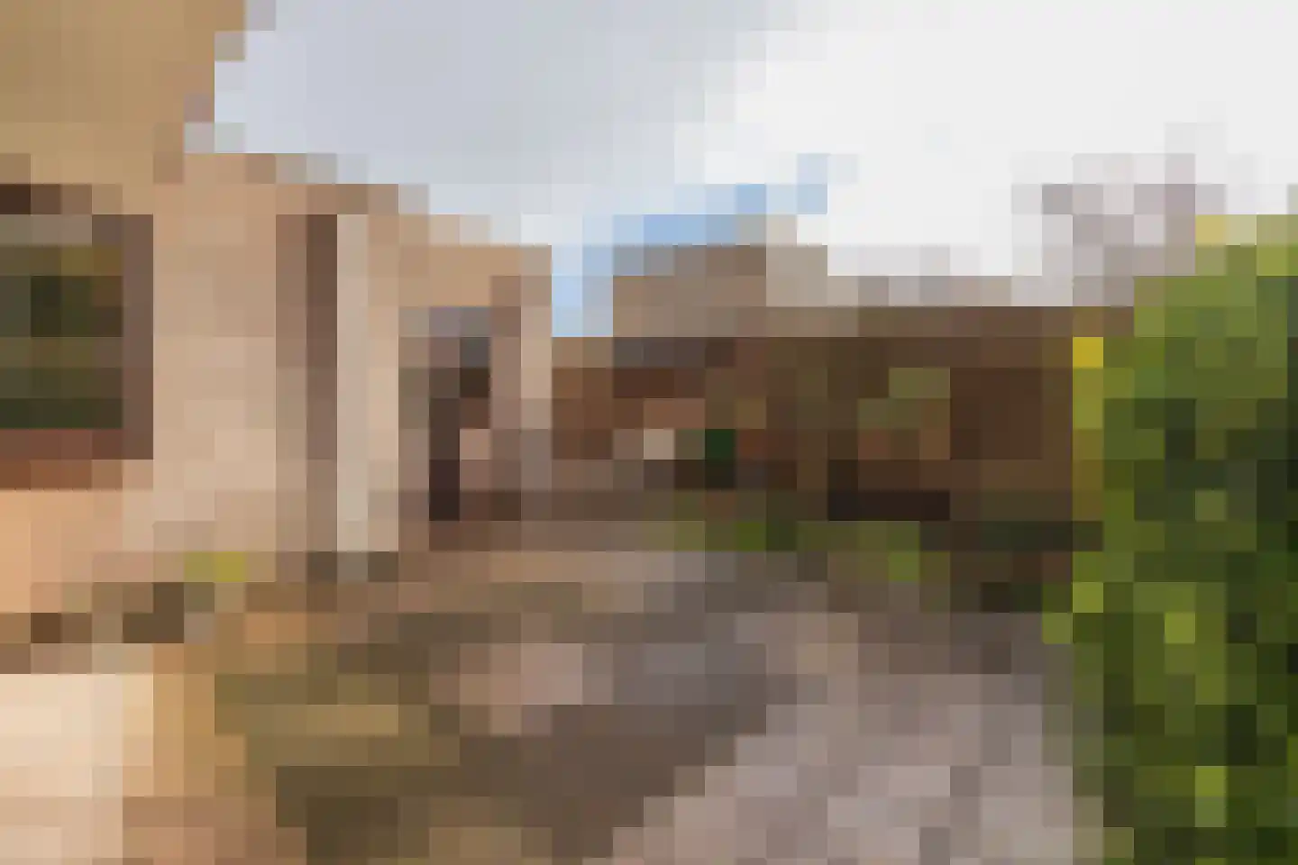 Tulpenstraat 3 Lisse thumbnail 20