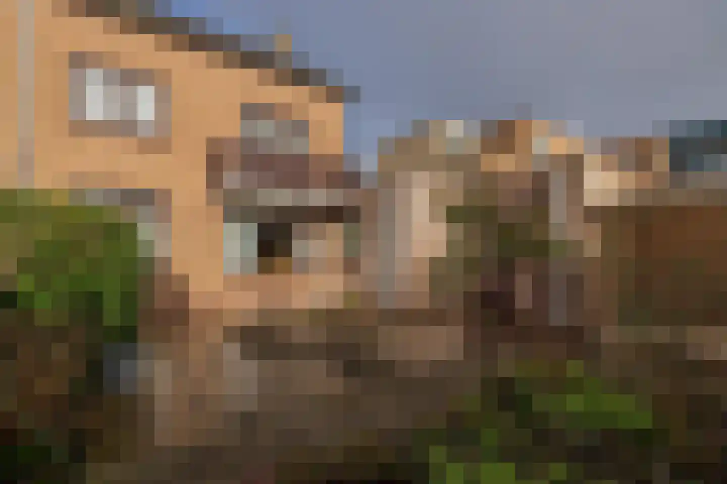 Tulpenstraat 3 Lisse thumbnail 24