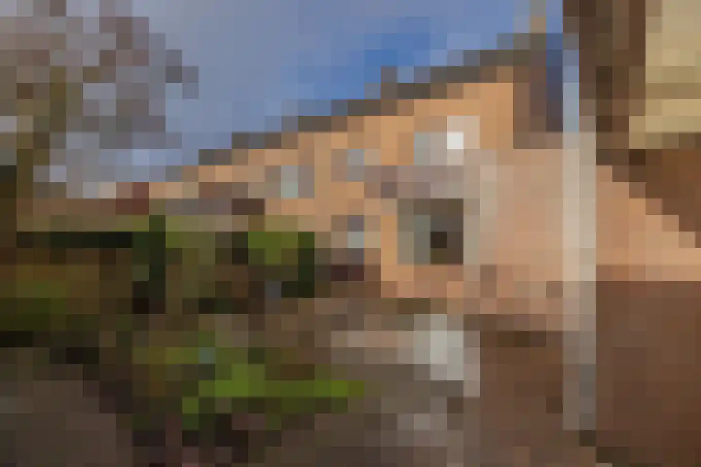 Tulpenstraat 3 Lisse thumbnail 25