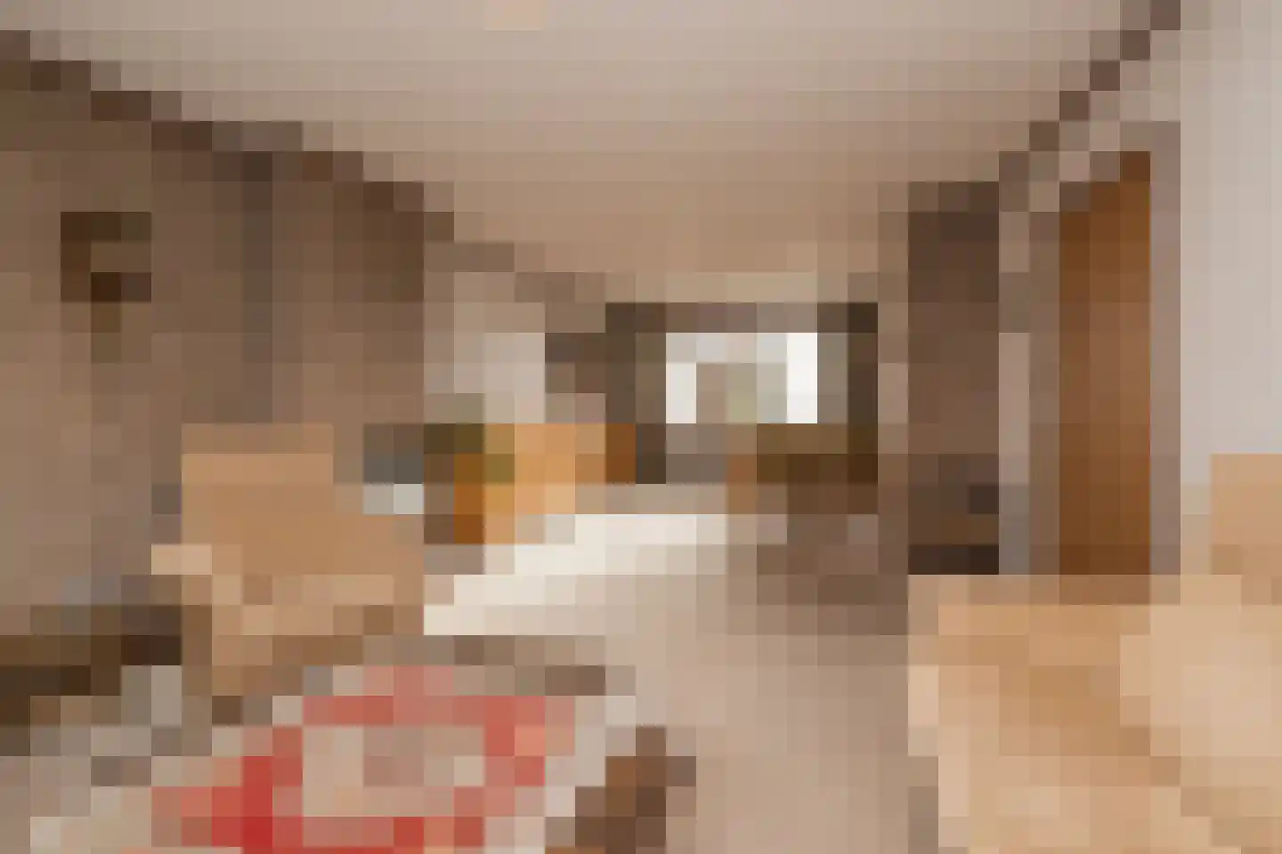 Tulpenstraat 3 Lisse thumbnail 7