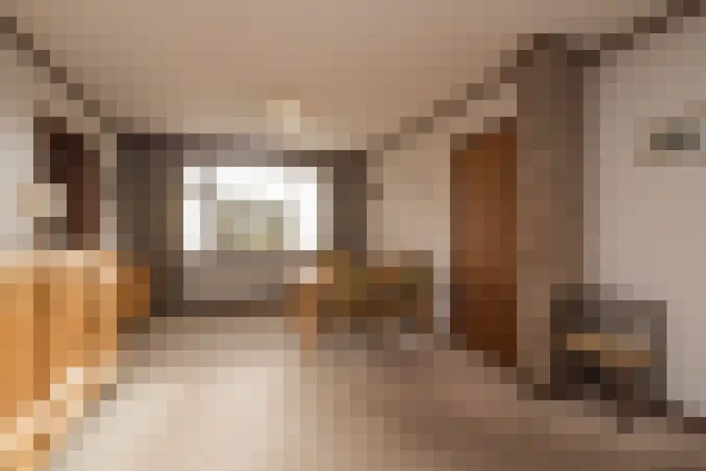 Tulpenstraat 3 Lisse thumbnail 8