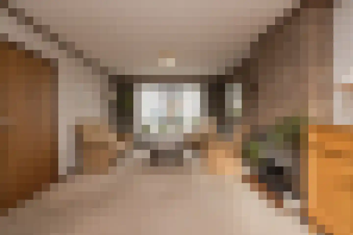 Tulpenstraat 3 Lisse thumbnail 9