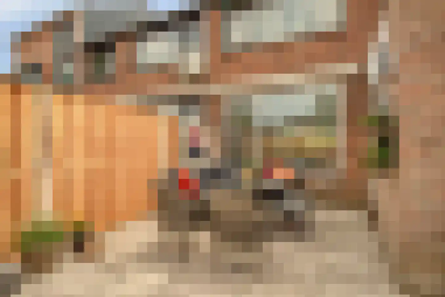 Tulpenstraat 3 Rozenburg thumbnail 17