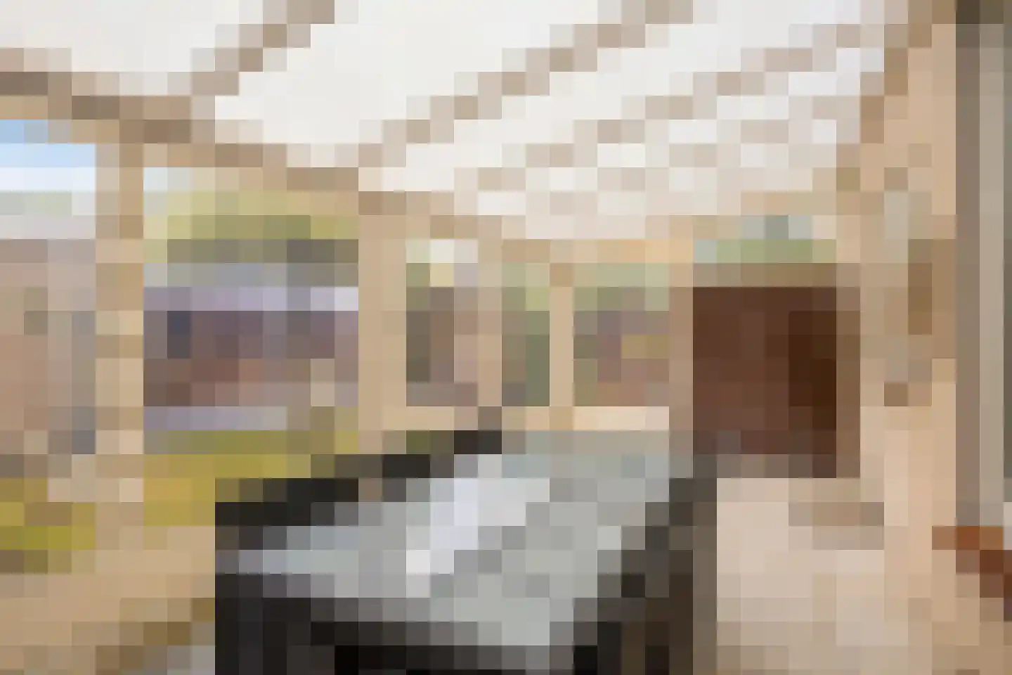 Tulpenstraat 33 Haps thumbnail 25