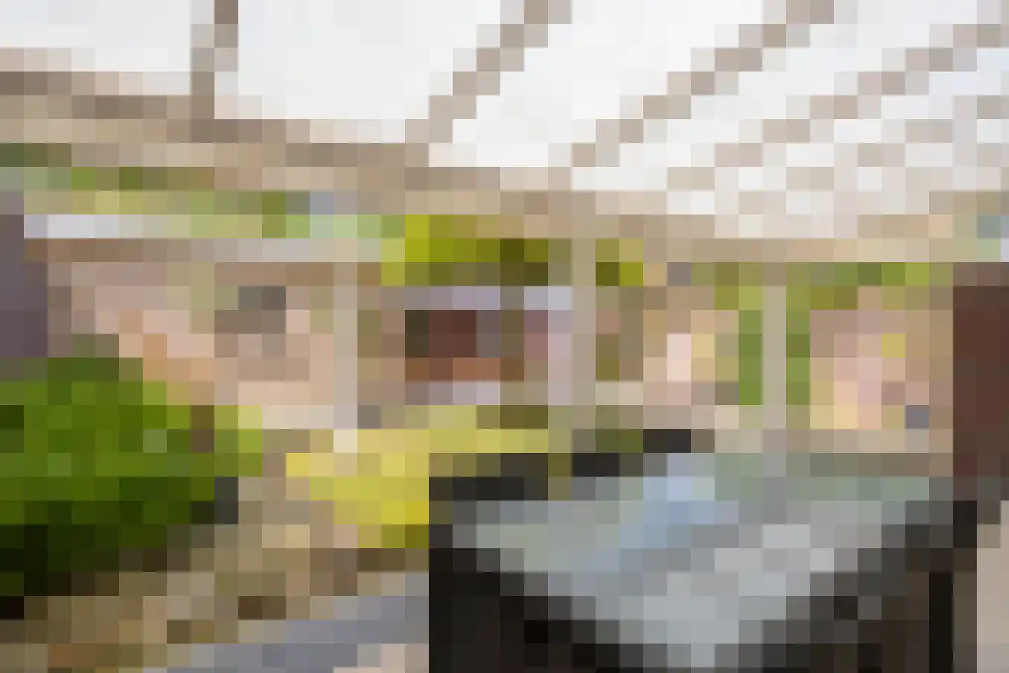 Tulpenstraat 33 Haps thumbnail 26