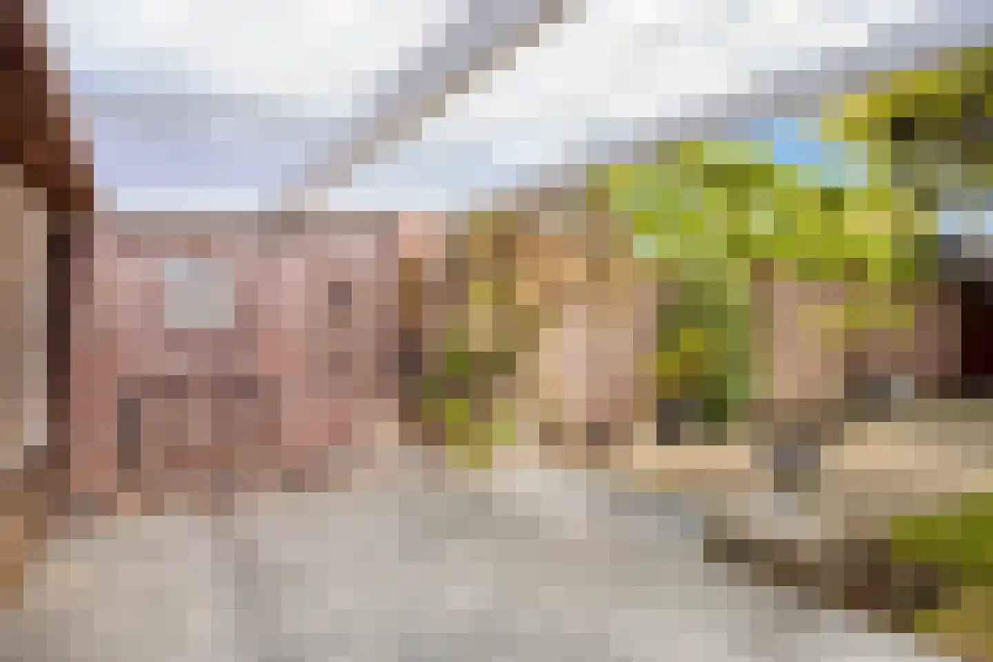 Tulpenstraat 33 Haps thumbnail 30