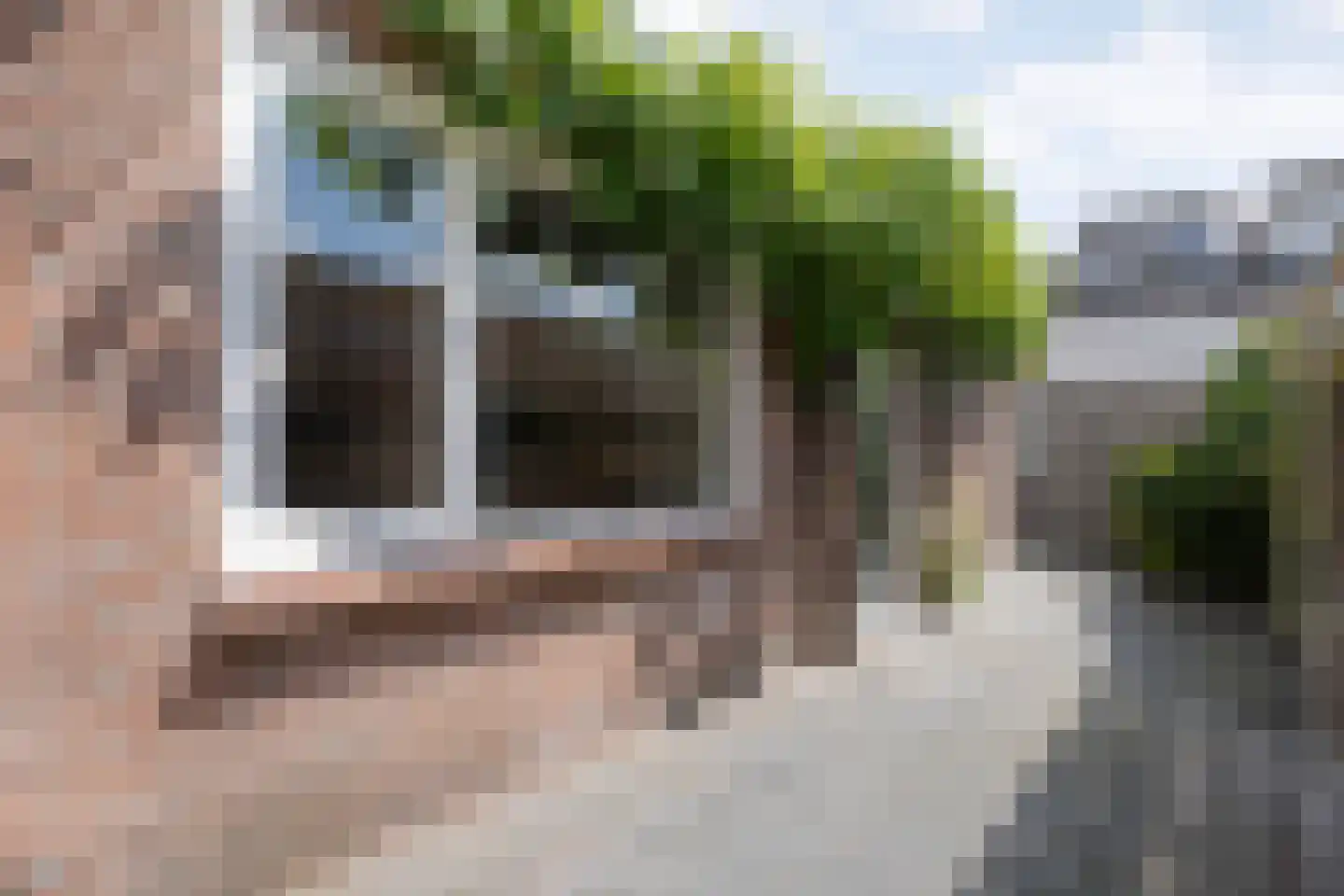 Tulpenstraat 37 Meppel thumbnail 30