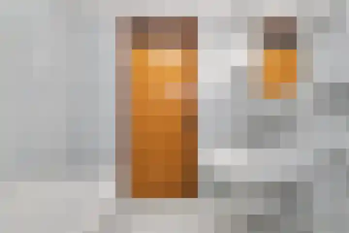 Tulpenstraat 4 Rijnsburg thumbnail 32
