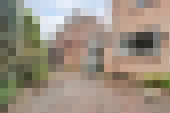 Tulpenstraat 4 Rijnsburg thumbnail 6