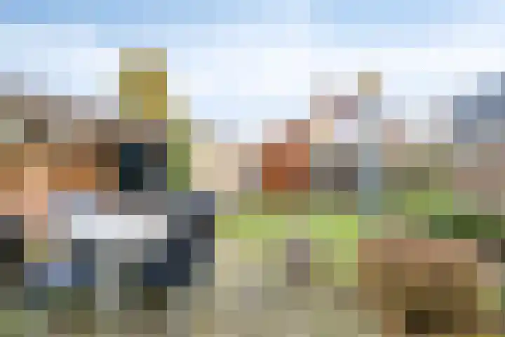 Tulpenstraat 4 Siebengewald thumbnail 29