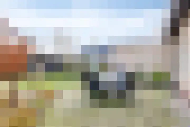 Tulpenstraat 4 Siebengewald thumbnail 31