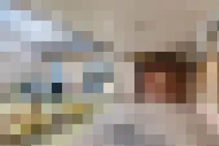 Tulpenstraat 4 Siebengewald thumbnail 32