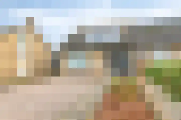 Tulpenstraat 4 Siebengewald thumbnail 35