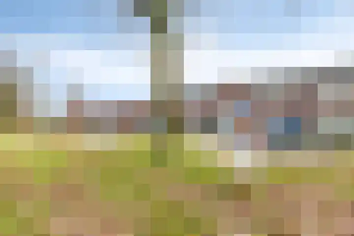 Tulpenstraat 4 Siebengewald thumbnail 37