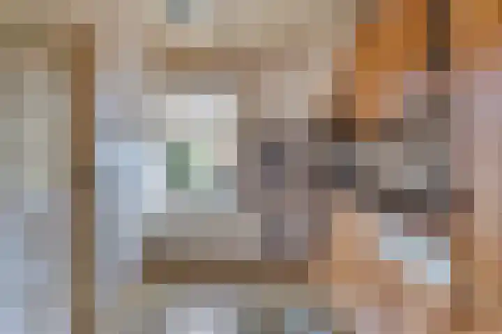 Tulpenstraat 4 Siebengewald thumbnail 4