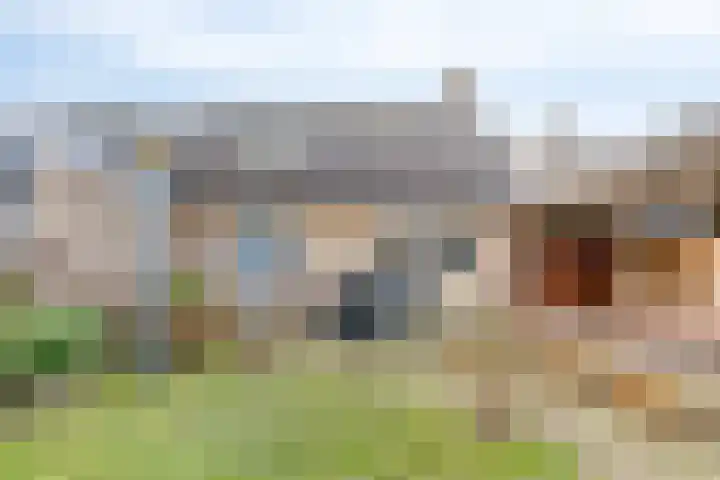 Tulpenstraat 4 Siebengewald thumbnail 5