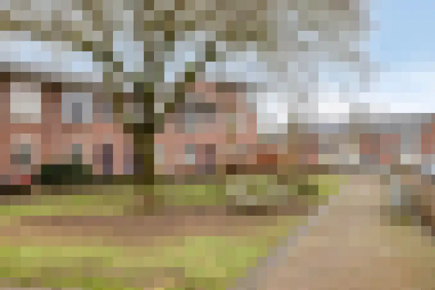 Tulpenstraat 59 Doetinchem thumbnail 23