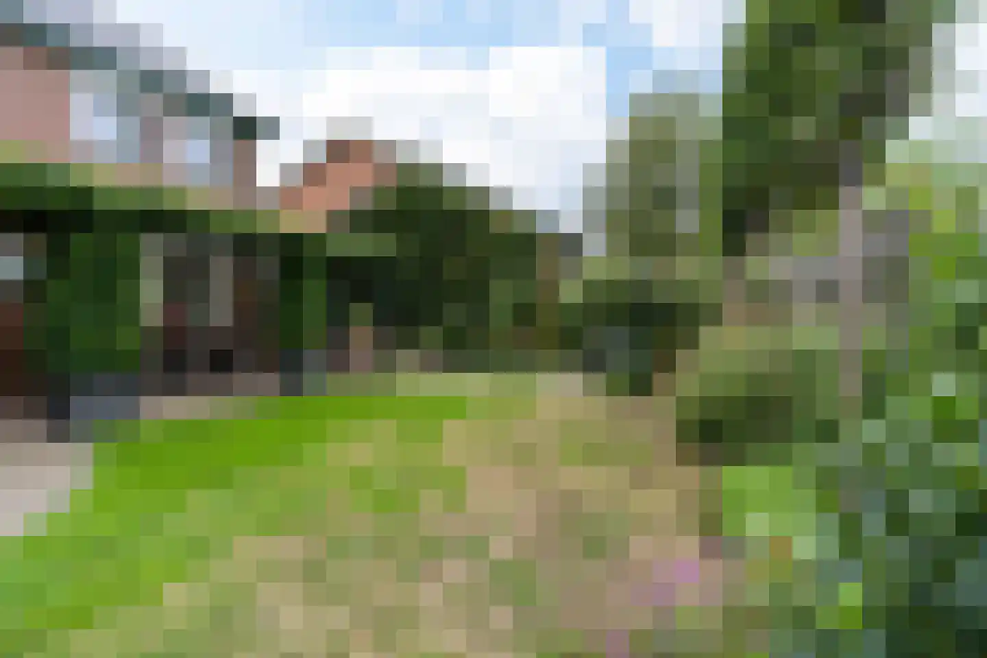 Tulpenstraat 6 Ittervoort thumbnail 50