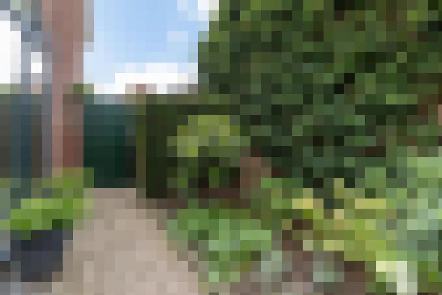 Tulpenstraat 6 Ittervoort thumbnail 55