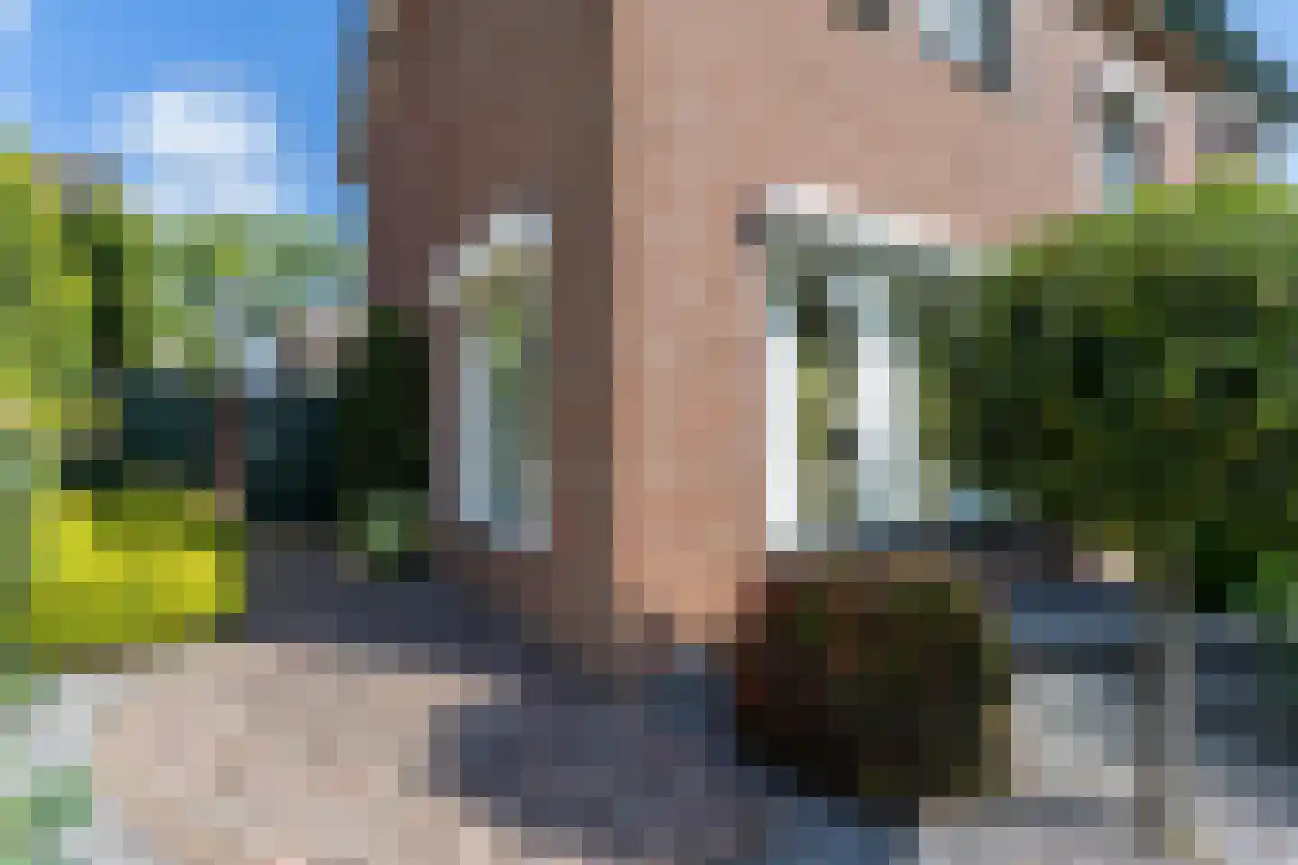 Tulpenstraat 6 Ittervoort thumbnail 59