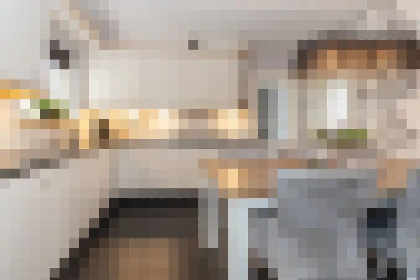 Tulpenstraat 6 Ittervoort thumbnail 7