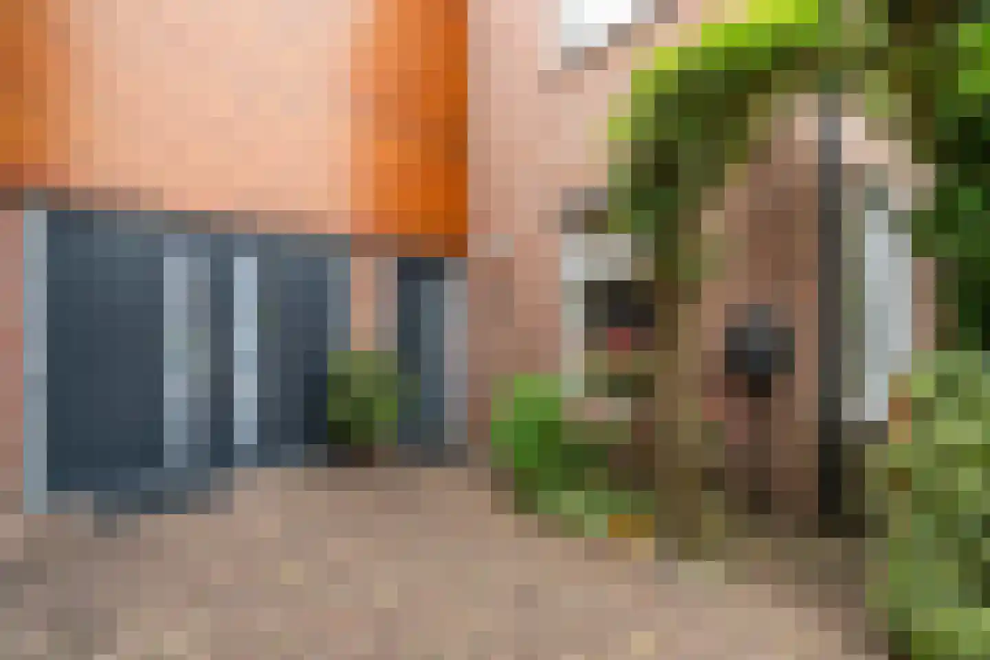 Tulpenstraat 7 Ittervoort thumbnail 8