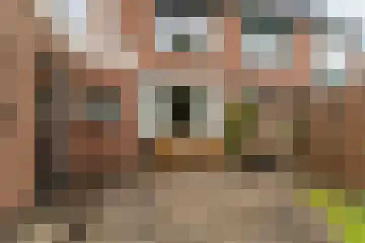 Tulpenstraat 7 Zevenaar thumbnail 44