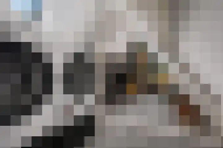 Tulpenstraat 9 Assen thumbnail 26