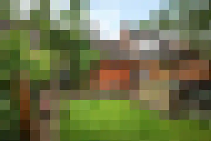 Tulpenstraat 9 Assen thumbnail 30