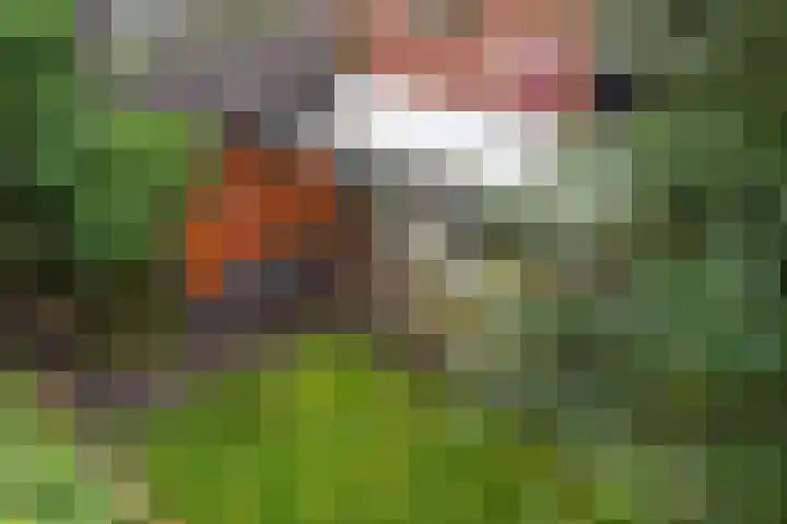 Tulpenstraat 9 Assen thumbnail 34