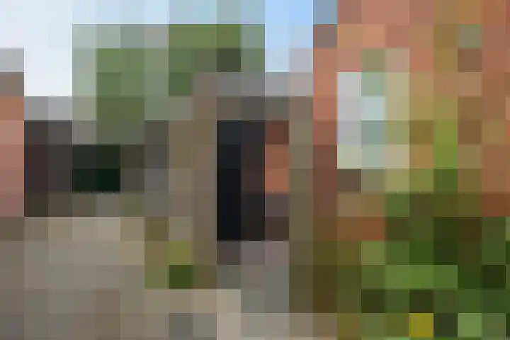 Tulpenstraat 9 Assen thumbnail 35